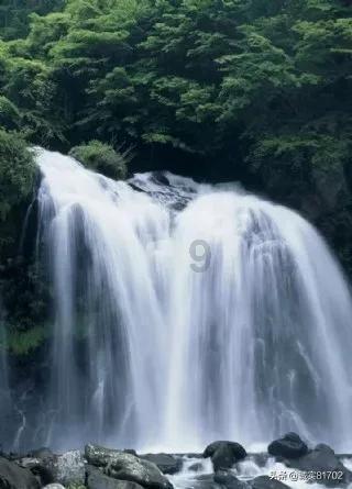 海外网友热议TES不敌BLG：369是转会期最大输家！他会后悔回TES